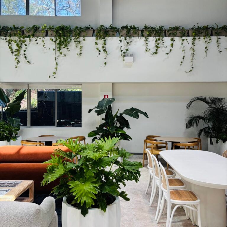 Desks in a Coworking space -Pagewood