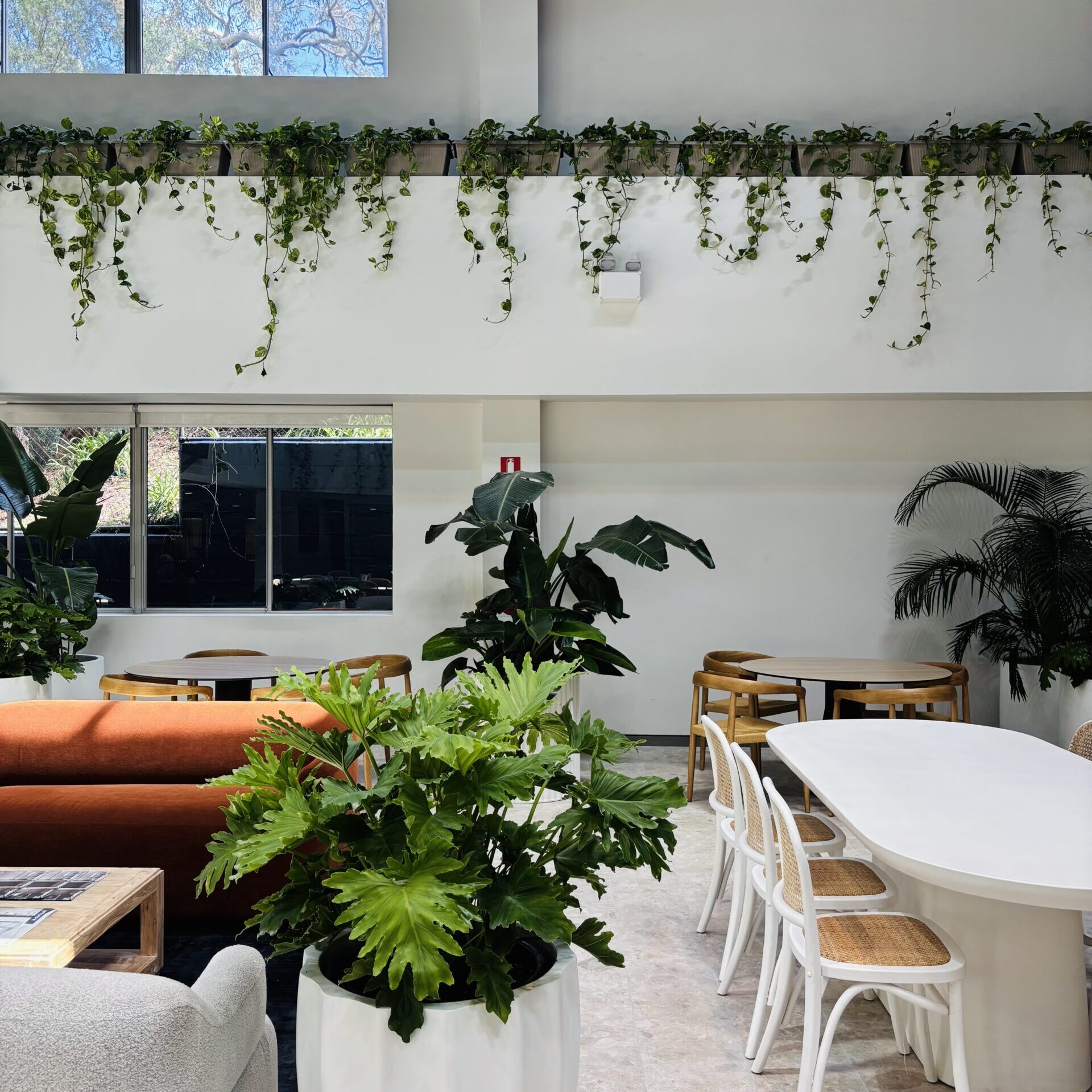 Coworking desks at Main Office, Pagewood Sydney